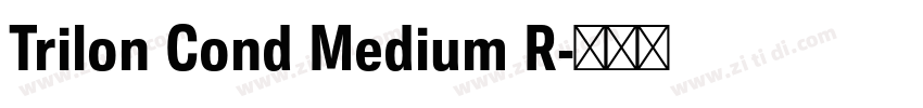Trilon Cond Medium R字体转换